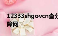 12333shgovcn查分上海人力资源和社会保障网