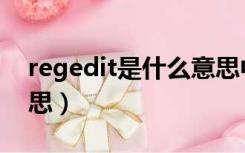 regedit是什么意思中文（regedit是什么意思）