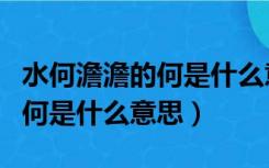 水何澹澹的何是什么意思怎么读（水何澹澹的何是什么意思）