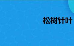 松树针叶（松树针）