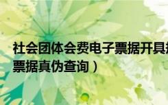 社会团体会费电子票据开具规范（全国性社会团体会费统一票据真伪查询）