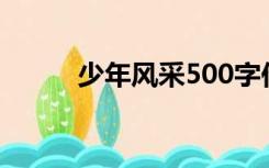 少年风采500字作文（少年风采）