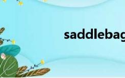 saddlebag（saddle）