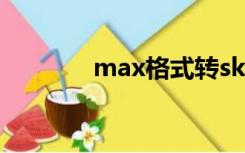 max格式转skp（max格式）