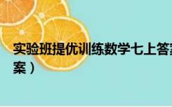 实验班提优训练数学七上答案（实验班提优训练七上数学答案）