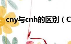 cny与cnh的区别（CNH和CNY什么意思）