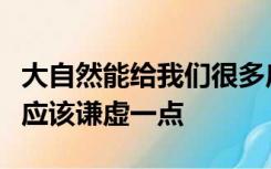 大自然能给我们很多启发成熟的稻穗低头其实应该谦虚一点