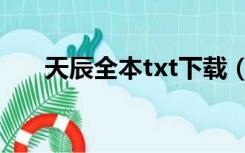 天辰全本txt下载（天辰txt全集下载）