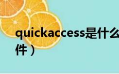 quickaccess是什么软件（access是什么软件）