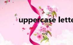 uppercase letter在工程图图里面