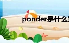 ponder是什么意思（ponder）