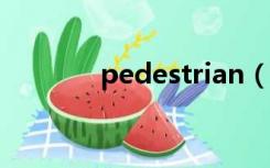 pedestrian（pedestrians）