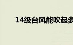 14级台风能吹起多少斤（14级台风）