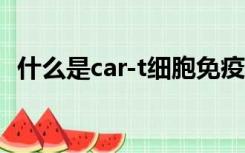 什么是car-t细胞免疫疗法（什么是CAGR）