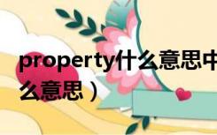 property什么意思中文意思（property是什么意思）