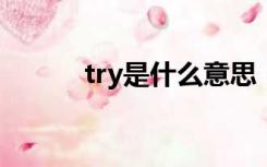 try是什么意思（tr是什么意思）