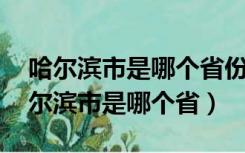 哈尔滨市是哪个省份,青岛属于哪个省呢（哈尔滨市是哪个省）