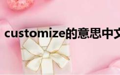 customize的意思中文翻译（customized）