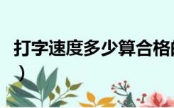 打字速度多少算合格的（打字速度多少算合格）