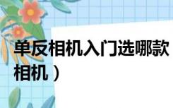 单反相机入门选哪款（那推荐几款入门级单反相机）