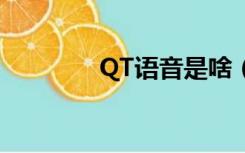 QT语音是啥（qt内置语音）