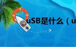 uSB是什么（usb是什么东西）