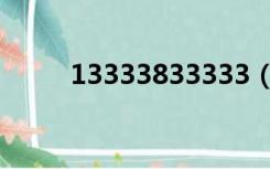 13333833333（13333333333）