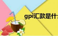 gpi汇款是什么意思（gpi）