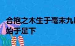 合抱之木生于毫末九层之台起于累土千里之行始于足下