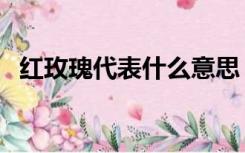 红玫瑰代表什么意思（玫瑰代表什么意思）