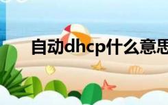 自动dhcp什么意思（dhcp什么意思）