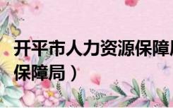 开平市人力资源保障局官网（开平市人力资源保障局）