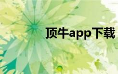 顶牛app下载（顶牛网官网）