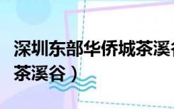 深圳东部华侨城茶溪谷门票（深圳东部华侨城茶溪谷）