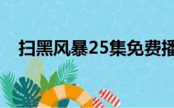 扫黑风暴25集免费播放（扫黑风暴25集）