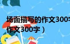 场面描写的作文300字点面结合（场面描写的作文300字）