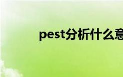 pest分析什么意思（pest分析）