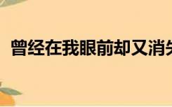 曾经在我眼前却又消失不见是哪首歌的歌词