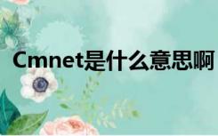 Cmnet是什么意思啊（cmnet是什么意思）