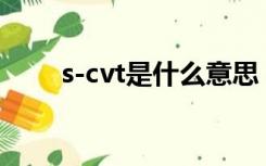 s-cvt是什么意思（cvt是什么意思）