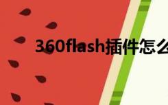 360flash插件怎么安装（360flash）