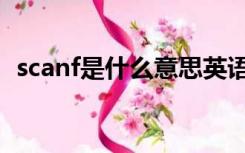 scanf是什么意思英语（scanf是什么意思）