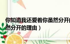 你知道我还爱着你虽然分开的理由（我知道你还是爱着我虽然分开的理由）