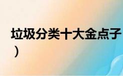 垃圾分类十大金点子（垃圾分类金点子100条）