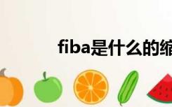 fiba是什么的缩写（fiba全称）