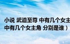 小说 武道至尊 中有几个女主角 分别是谁啊（小说 武道至尊 中有几个女主角 分别是谁）