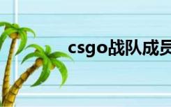 csgo战队成员（csgo战队）