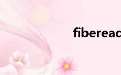 fiberead（fibre）