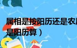 属相是按阳历还是农历算（属相是以农历算还是阳历算）