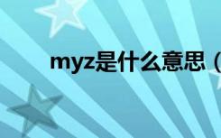 myz是什么意思（myz是什么文件）